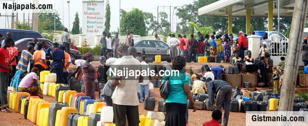Image result for independent petroleum marketers association of nigeria