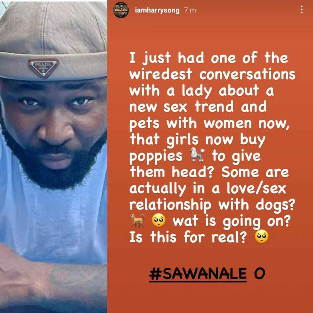 Nigerian Women Now Buy Dogs to Use As Sex Toys - Confused Harrysong Cries  Out - Gistmania