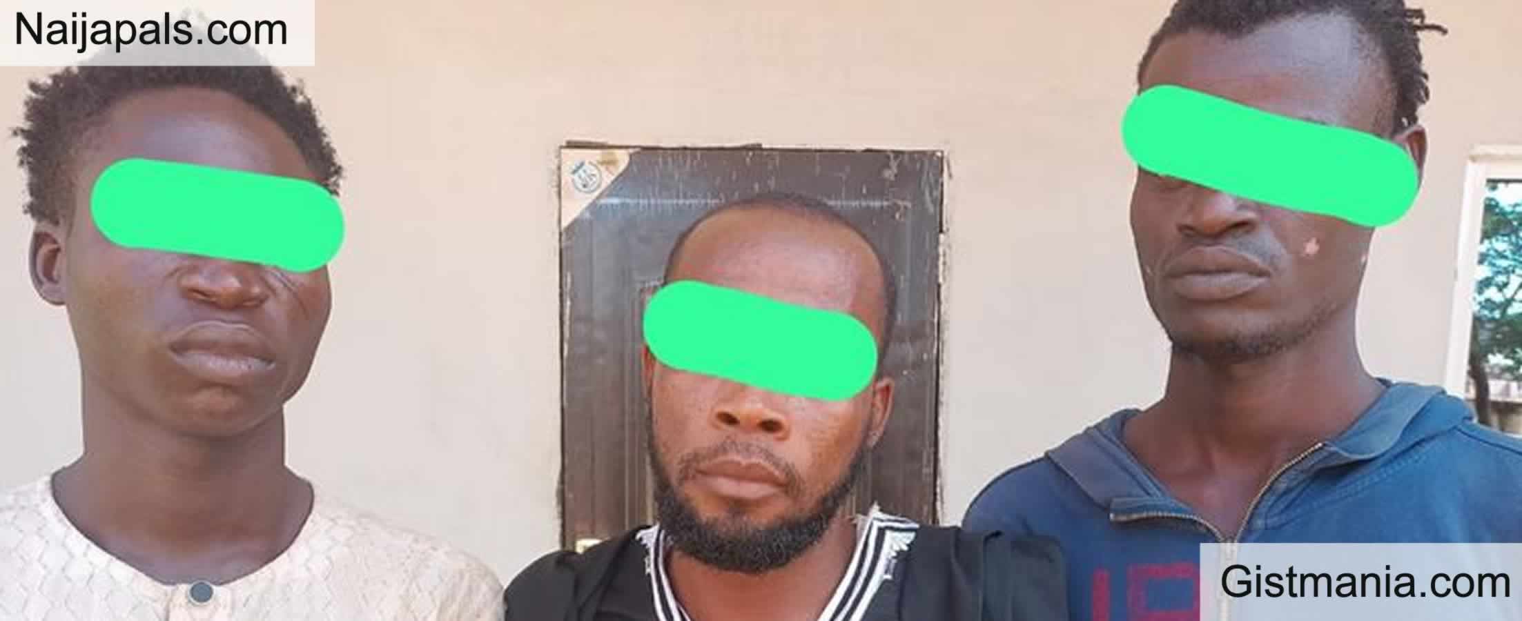 Police Arrest Three Suspects For Allegedly Gang R Ping Minor In Adamawa