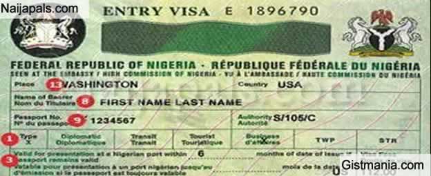 'Nigeria Have Issued 58,000 Visas To Foreign Investors At Lagos Airport