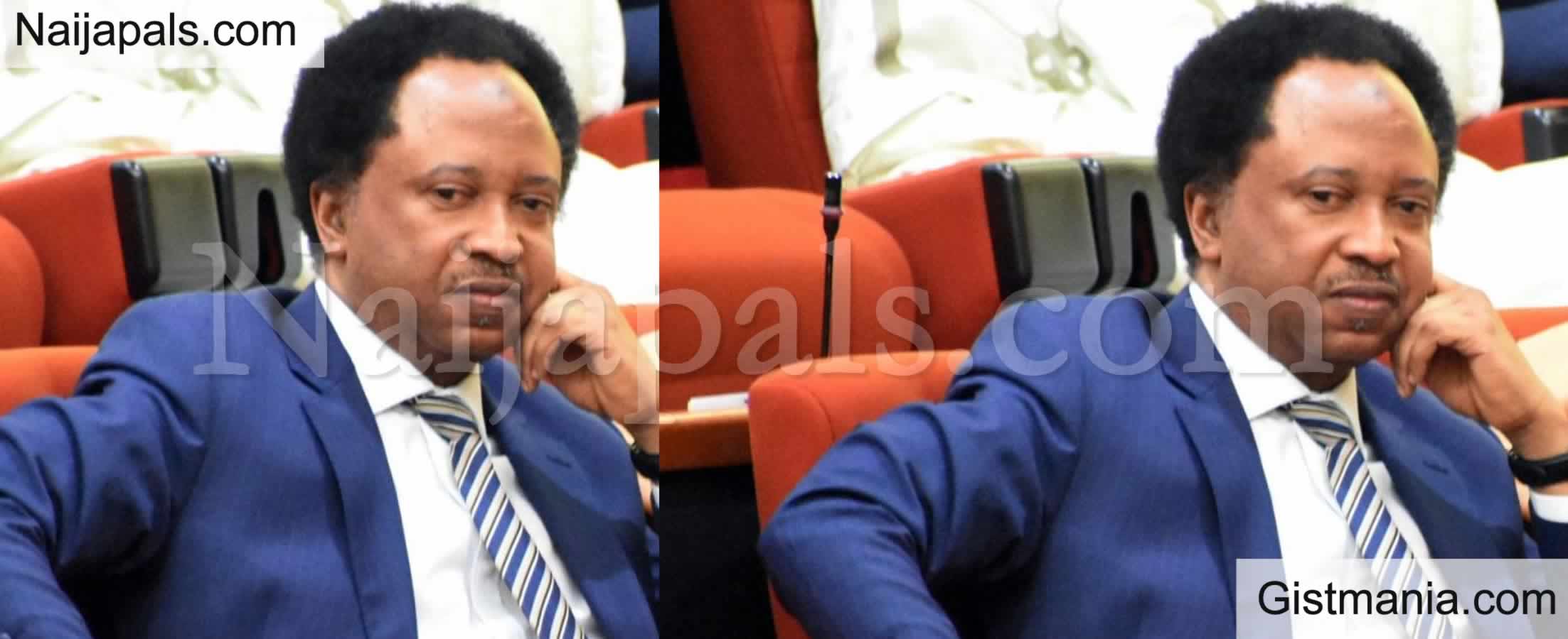 <img alt='.' class='lazyload' data-src='https://img.gistmania.com/emot/comment.gif' /> <b>If Paying Delegates Is Justified Don't Blame People For Collecting Rice Before Vote</b> - Shehu Sani