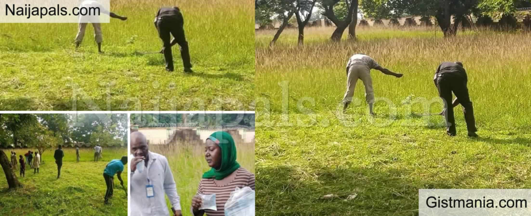 <img alt='.' class='lazyload' data-src='https://img.gistmania.com/emot/photo.png' /> <b>Photos Of Christians As They Join Muslims To Clear Grass At Kaduna Mosque Ahead Of Sallah</b>