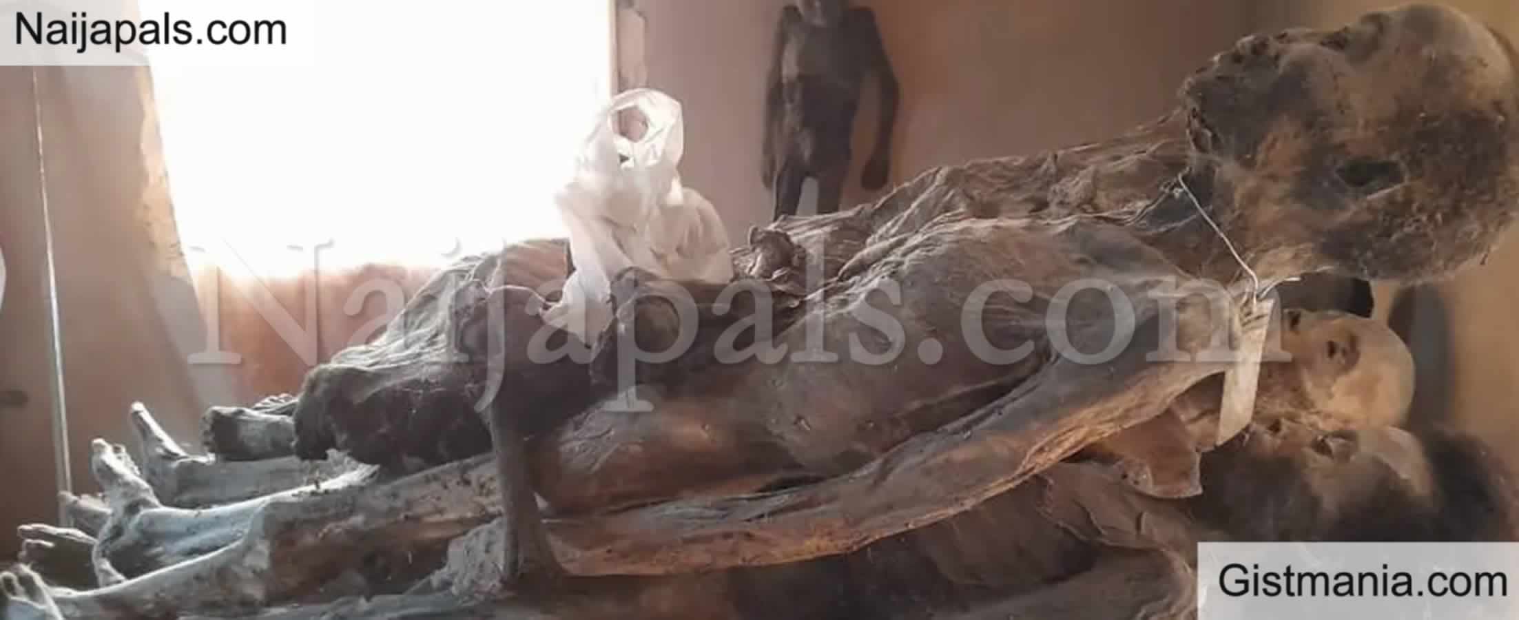 <img alt='.' class='lazyload' data-src='https://img.gistmania.com/emot/comment.gif' /> <b>Shocking As Edo Police Discover Shrine, Recover 20 Mummified Bodies</b>