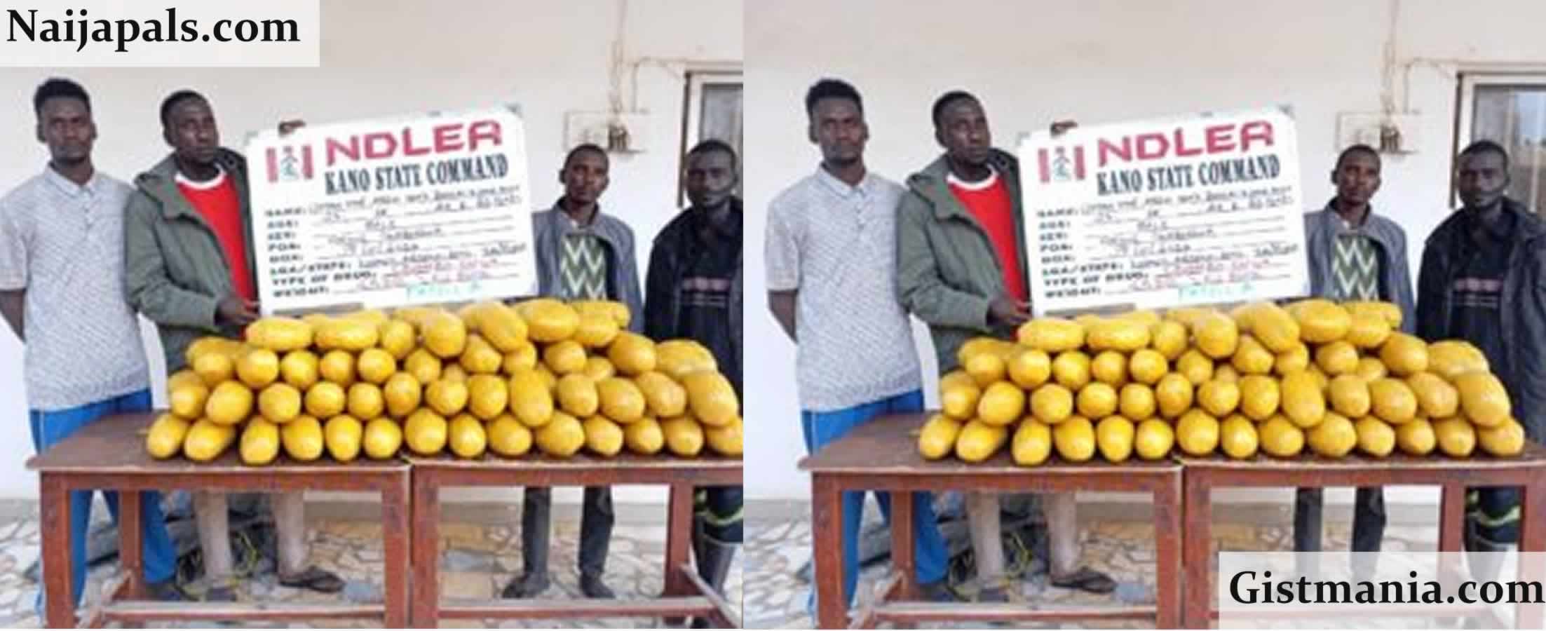 Four Arrested On Zaria-Kano Road With 45kg of Cannabis, NDLEA Reports