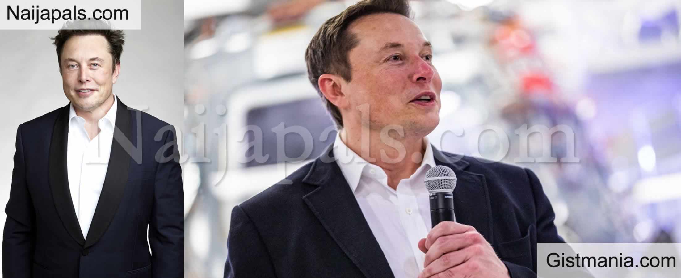 <img alt='.' class='lazyload' data-src='https://img.gistmania.com/emot/comment.gif' /> <b>Elon Musk Reportedly Paid Off A Flight Attendant $250k After Exposing Himself To Her</b>