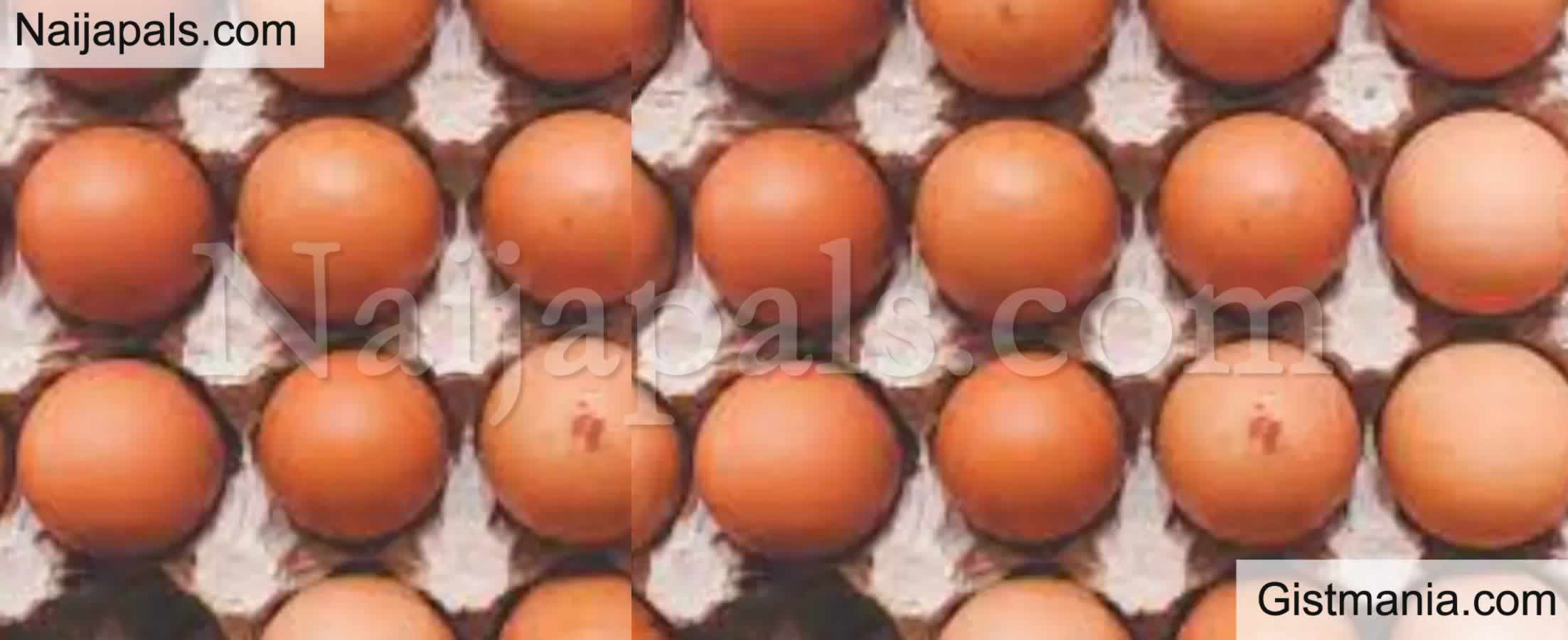 <img alt='.' class='lazyload' data-src='https://img.gistmania.com/emot/shocked.gif' /> <b>24-Yr-Old Nigerian Man Nabbed After Advertising Fake Eggs On Social Media</b>