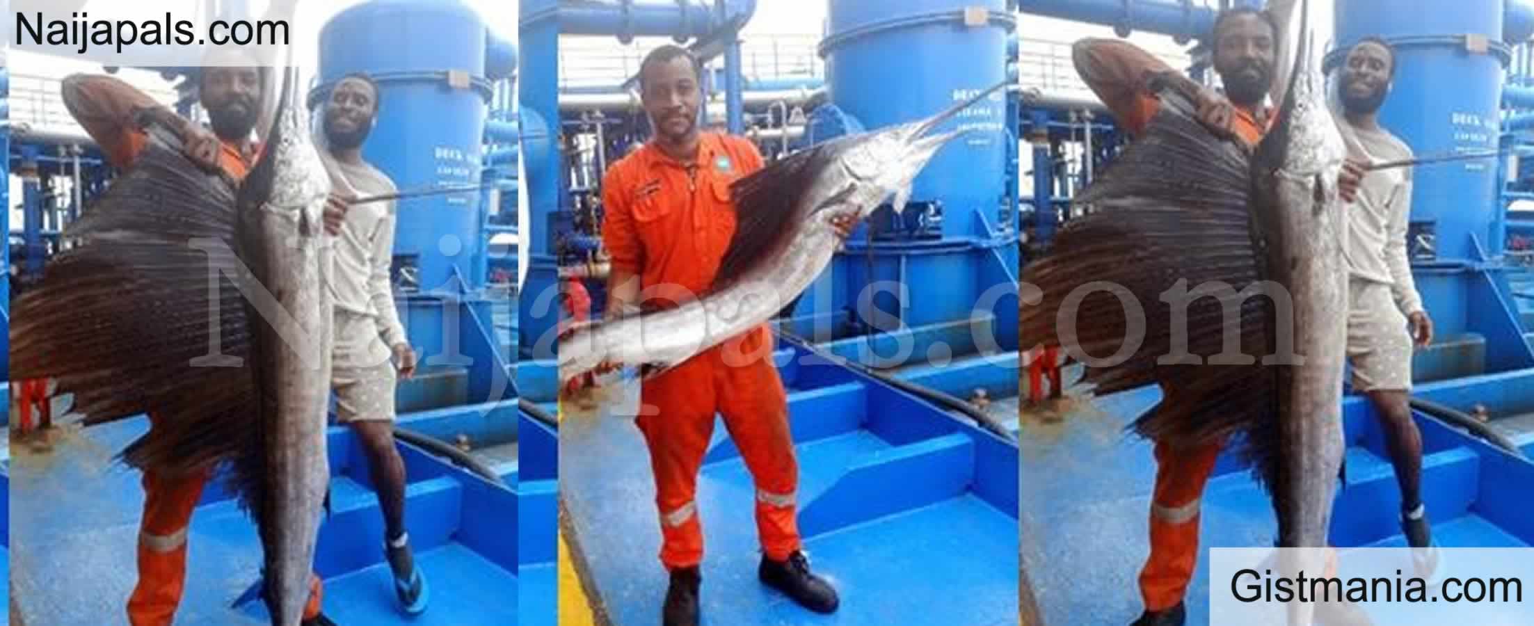 <img alt='.' class='lazyload' data-src='https://img.gistmania.com/emot/comment.gif' /><b>Nigerian Men Catch World’s Fastest Fish Worth Over N600k But Ate It With Peppersoup</b>