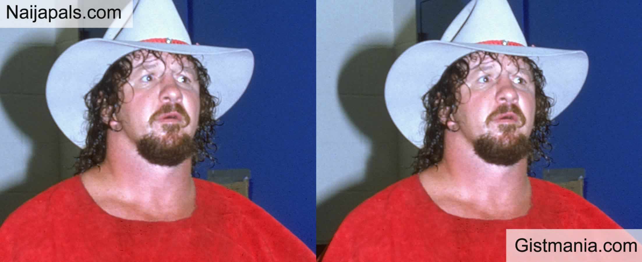 Popular Wrestling Legend Terry Funk Reportedly Died At 79 - Gistmania