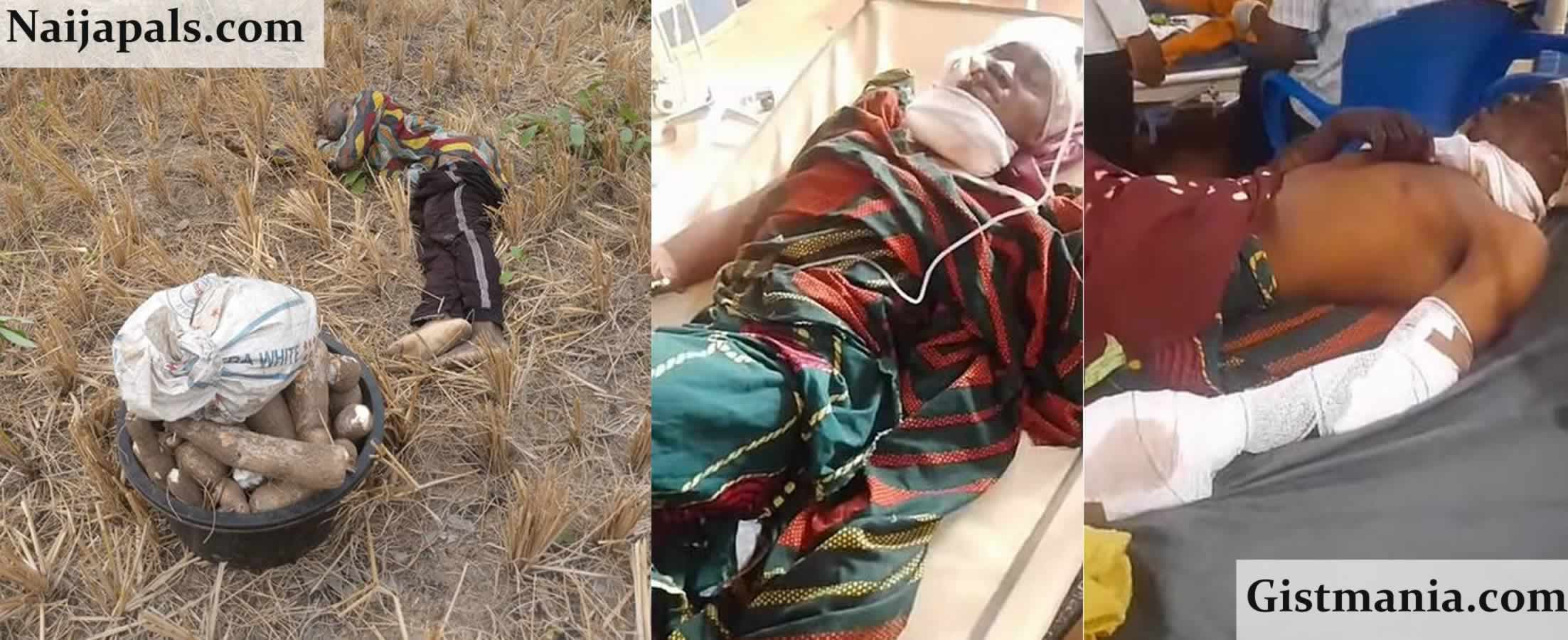 How Suspected Herders Killed Four Enugu Farmers Within 24 Hours