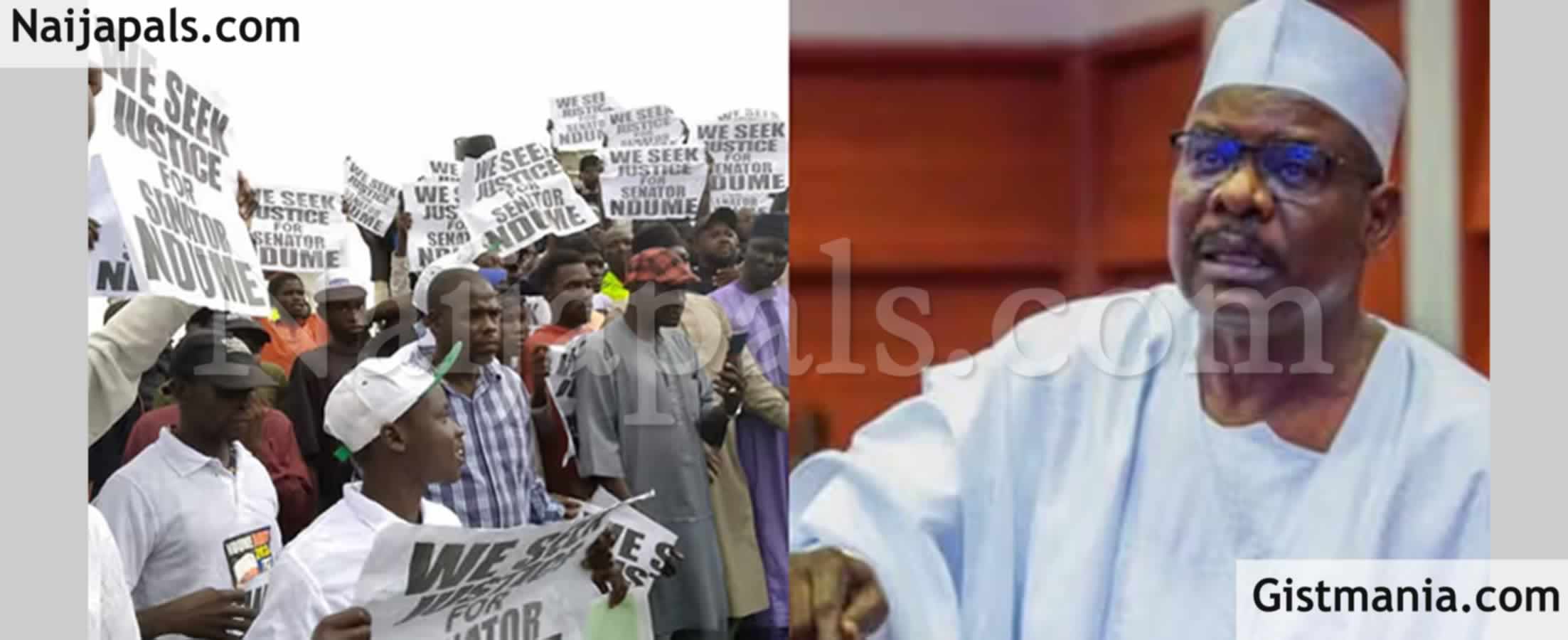 Borno Protesters Storm Abuja, Demand Reversal of Ndume's Sack As Chief ...