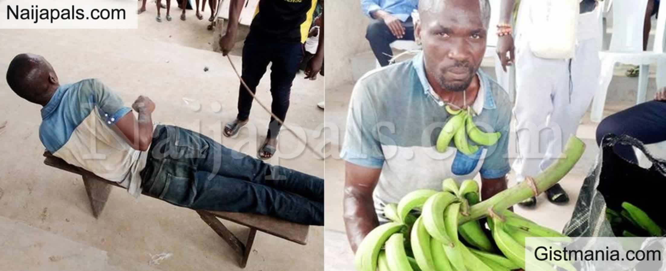 Suspected Plantain Thief Mercilessly Flogged In Bayelsa Photo Gistmania