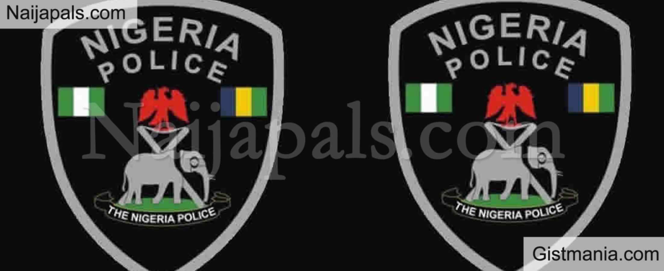 <img alt='.' class='lazyload' data-src='https://img.gistmania.com/emot/comment.gif' /> <b>Police Reportedly Kill 3 Suspected Kidnappers Arrest 2, Rescue Victim During Gun battle In Adamawa</b>