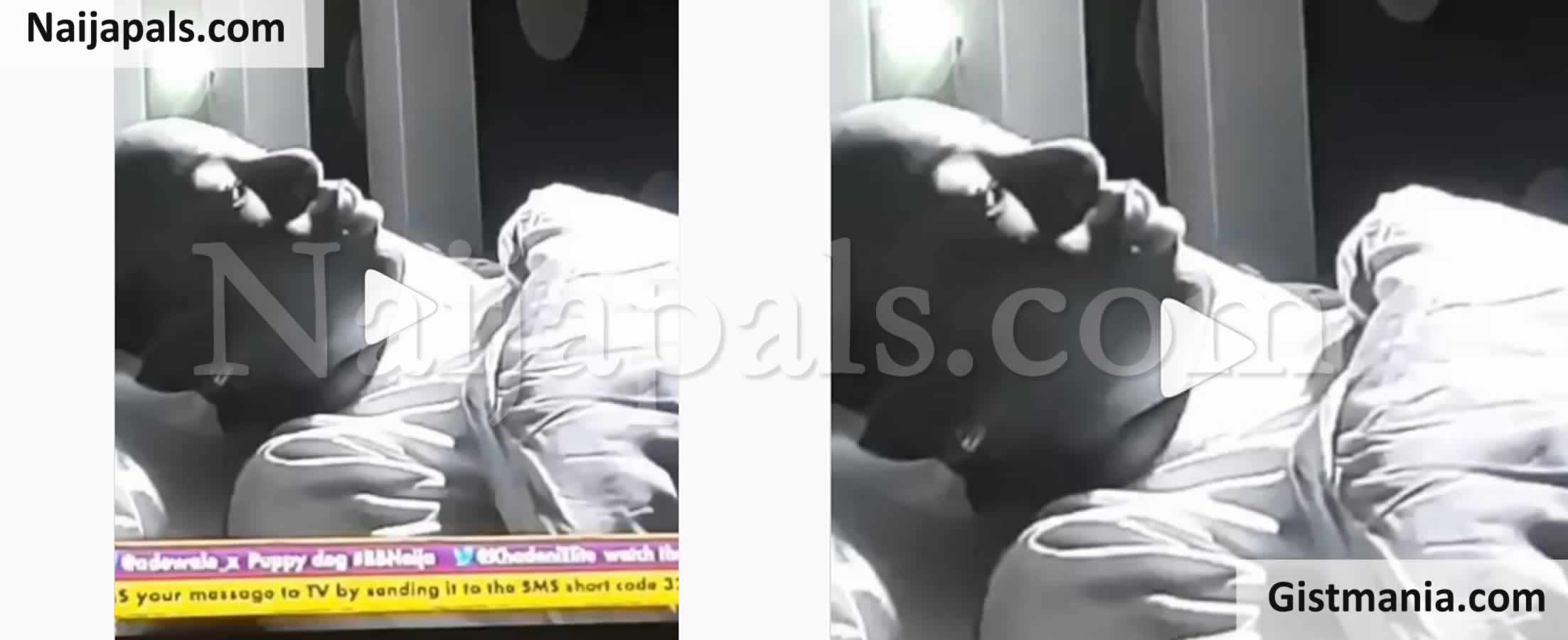 BBNaija: Tacha Suffers Nip Slip During Saturday Night Party (Photos) -  Celebrities - Nigeria